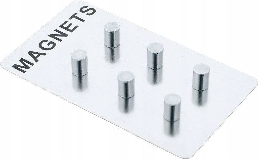 PIECES Magnetai užrašams, nerūdijančio plieno, 6 vnt., ZELLER