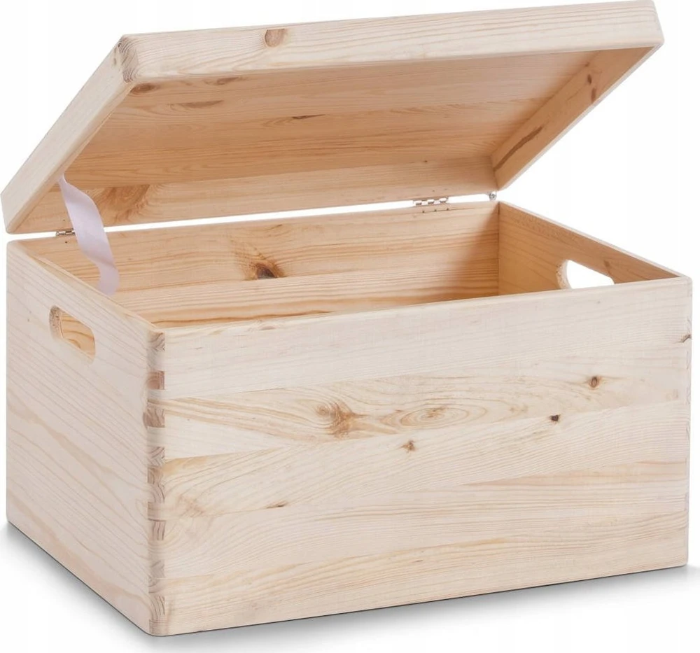 Sandėliavimo konteineris, organizatorius su dangteliu, 30 l, ZELLER