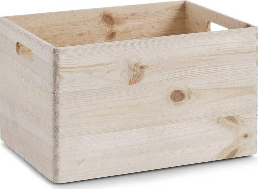 Sandėliavimo konteineris, organizatorius 30 l, ZELLER