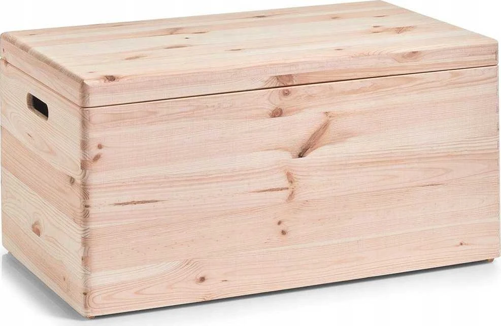 Sandėliavimo konteineris su dangčiu, organizatorius 58l, ZELLER