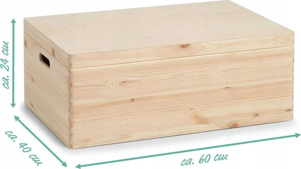 Sandėliavimo konteineris su dangčiu, organizatorius 58l, ZELLER