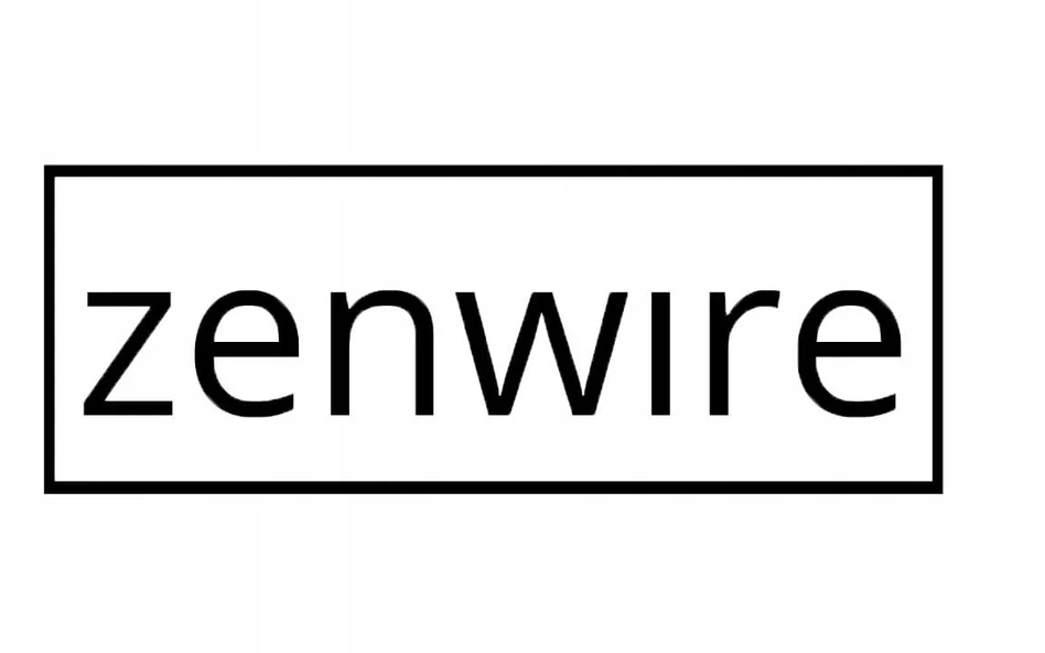 „Zenwire“ didelių kurjerių folijos paketai 4 XL 450 x 550 mm, folijos vokai 50 vnt.