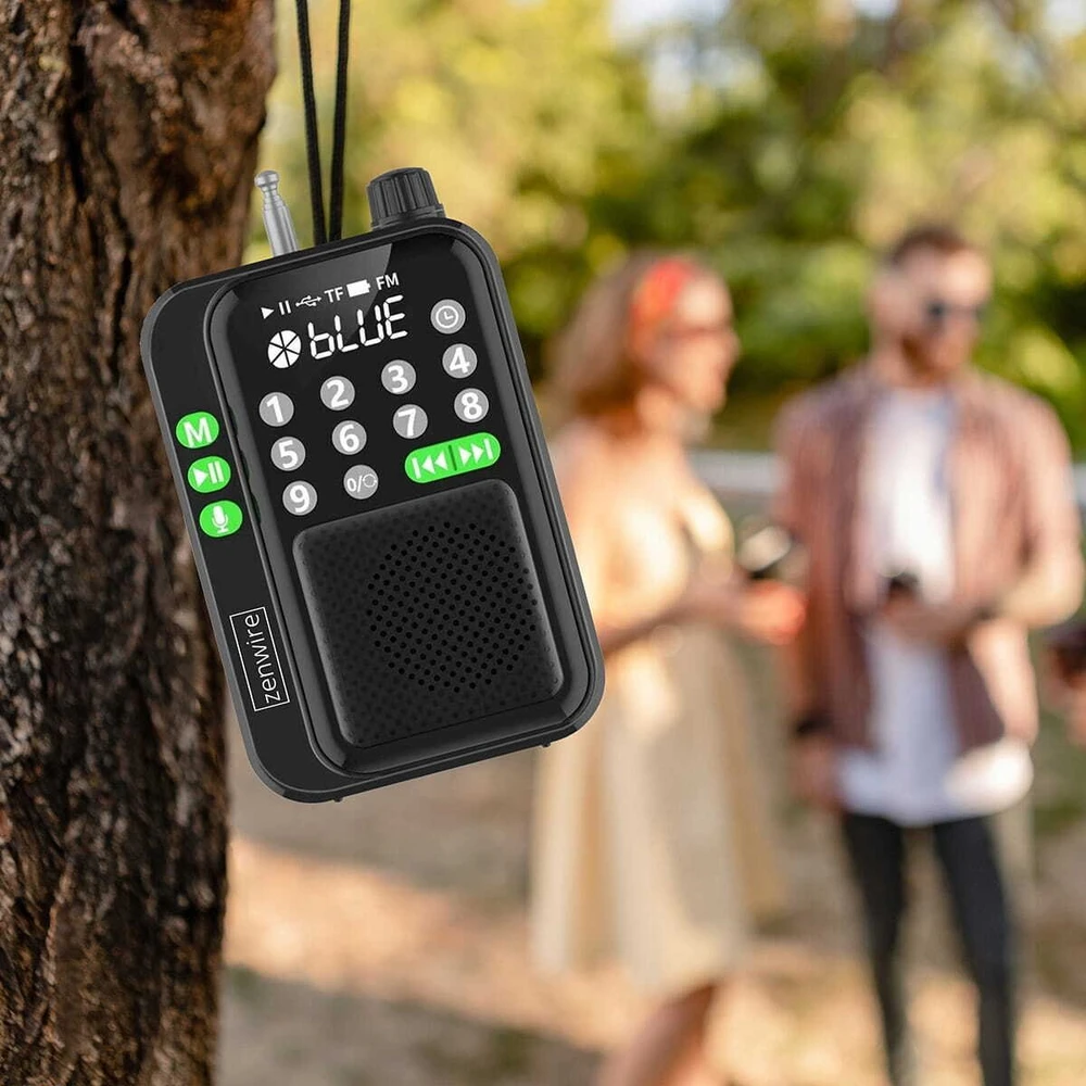 Radijas Zenwire Y1