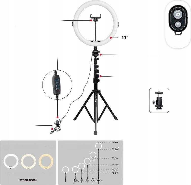 Žibintas AgfaPhoto LED šviesos žiedas 11 + Tripod + Pilot