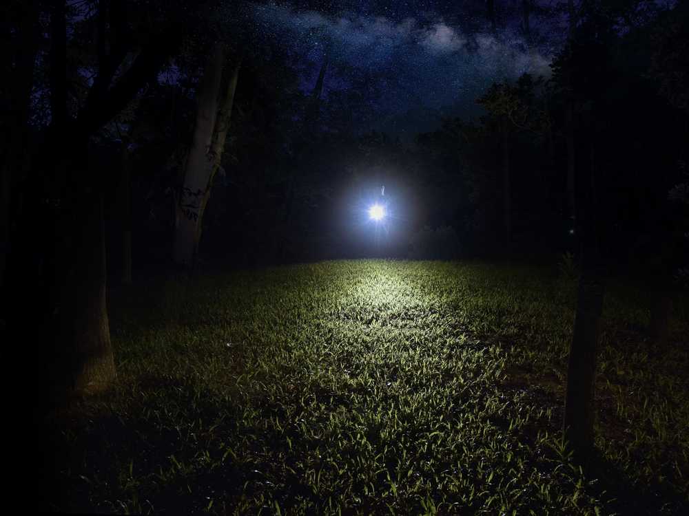 Fenixlight Limited China LED žibintuvėlis Fenix ​​E12 V2.0