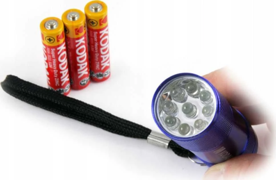 Žibintuvėlis Kodak 9-LED prožektorius juodas + 3 AAA EHD#