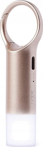Lexon Nomaday Flash LED raktų pakabukas, auksinis, LL137D