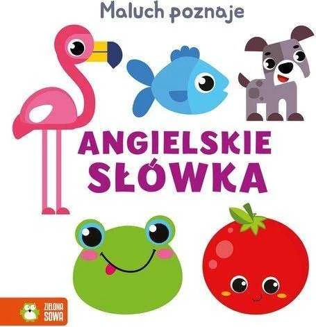 Zielona Sowa ZIELONASOWA Mažylis mokosi anglų kalbos žodžių 94070