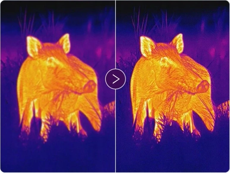 Žiūronai Monokuliarinė terminio vaizdo kamera PARD Leopard 480 35
