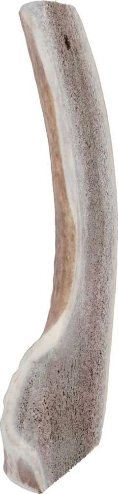 ZOLUX Elnio ragai Easy >20kg - kramtukas šuniui - 140g