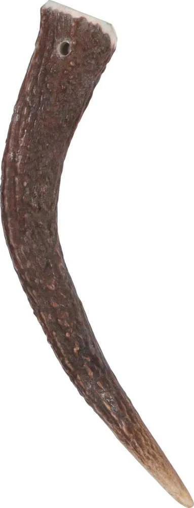 Zolux Skanėstas Elnio ragai HARD sveiki, šunims iki 15 kg