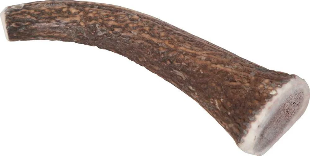 Zolux Skanėstas šuniui Poroże jelenia HARD, waga psa powyżej 20 kg