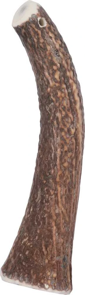 Zolux Skanėstas šuniui Poroże jelenia HARD, waga psa powyżej 20 kg