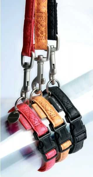 Zolux Smycz šuniui Mac Leather XS 10mm/1.2m - kol. geltona