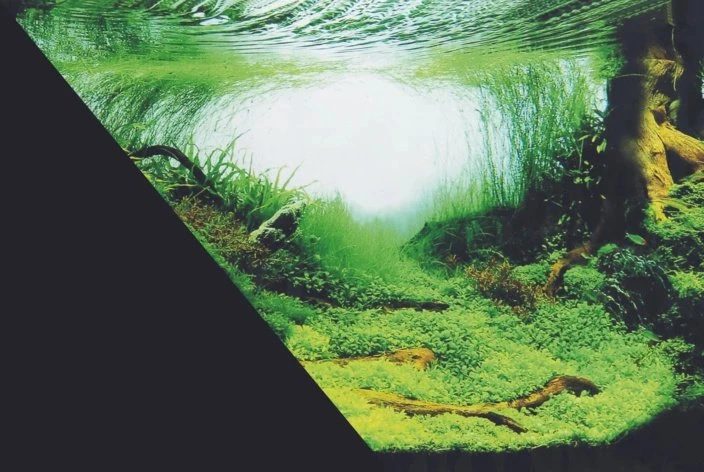 Zolux Dvipusis akvariumo fonas „Amazonka“ juodas