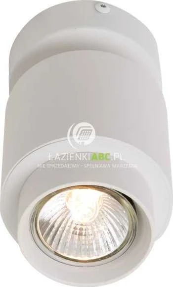 Lubinis šviestuvas Lampa sufitowa Zuma Line PLAFON SCOPY1 (ACGU10-150)