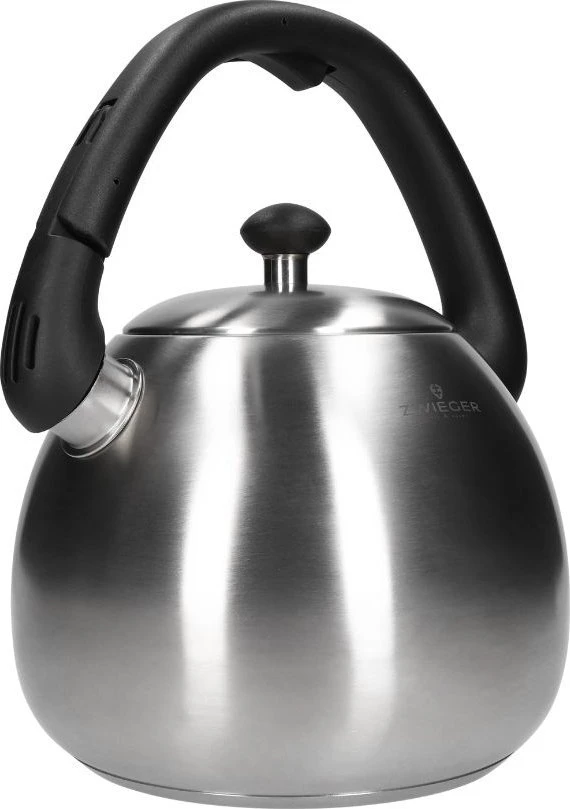 Mondex Virdulys ZWIEGER VISIONARY 3L