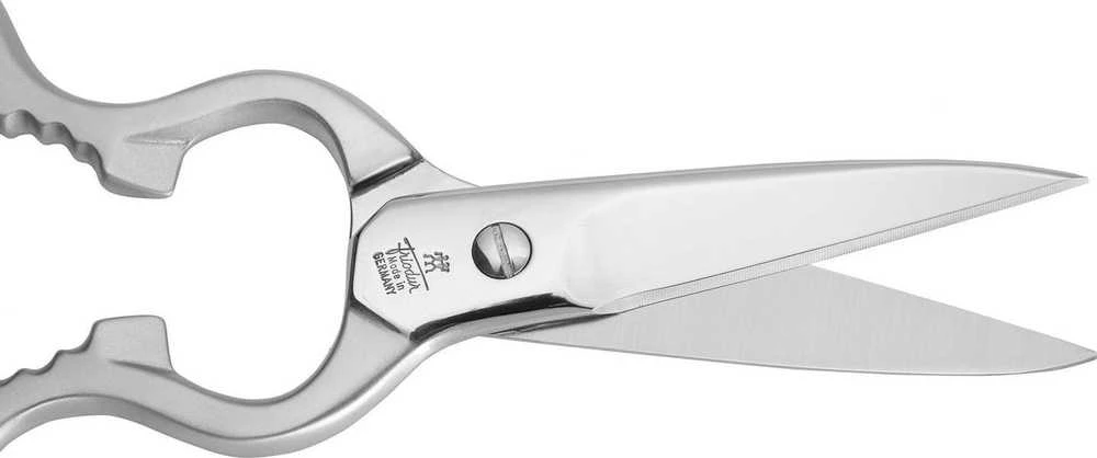 ZWILLING 43923-200-0 darbo stalo žirklės / figūrinės žirklės Sidabras