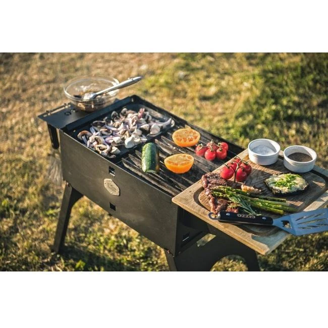 Gizzo Grill Full Set - sulankstoma lauko kepsninė / šašlykinė