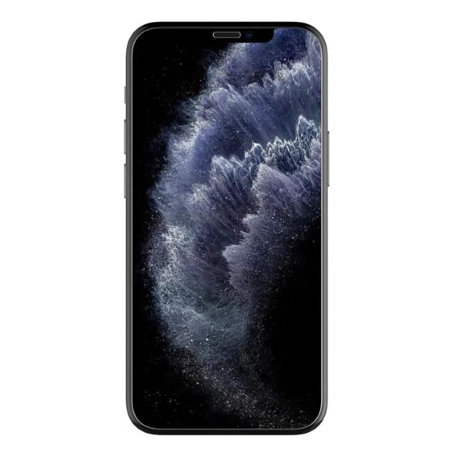 Grūdintas stiklas X-ONE 0,3 mm - skirtas iPhone 12 Pro