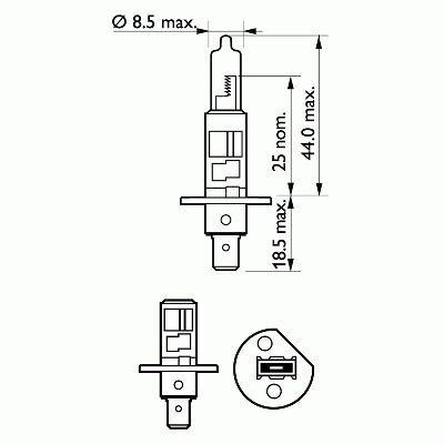 Philips Lemputės H1 LongLife EcoVision