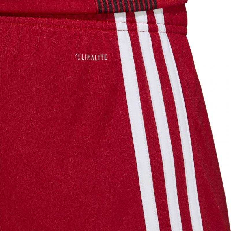 Adidas Tastigo 19 M DP3681 sportiniai šortai (46851) (Raudona spalva) |  Varle.lt