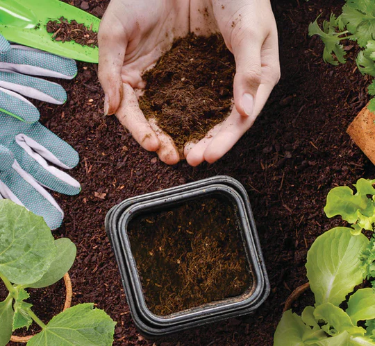 FoodCycler® Eco 5™ bio atliekų perdirbėjas, baltos spalvos aprašymas - Prekės nuotrauka