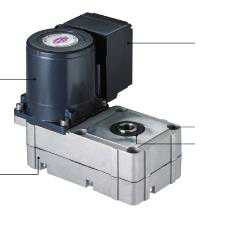 Granulių padavimo variklis 5.4 RPM FBH-20. (Ecologic)
