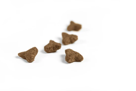 Josera Culinesse sausas maistas suaugusiems išrankioms katėms su lašiša 2kg