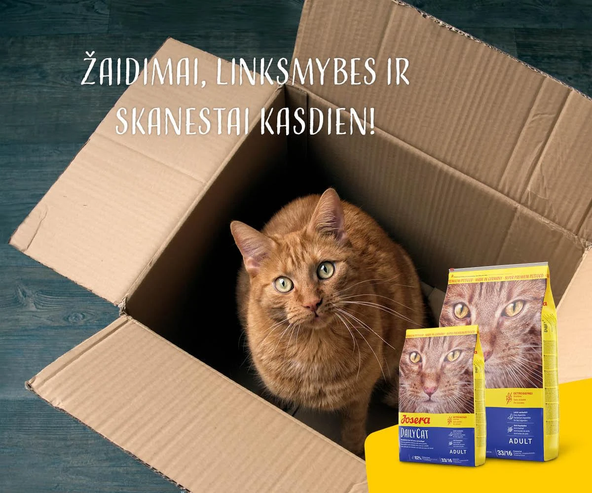 Josera DailyCat begrūdis, lengvai virškinamas maistas su padidintu paukštienos kiekiu katėms 10kg