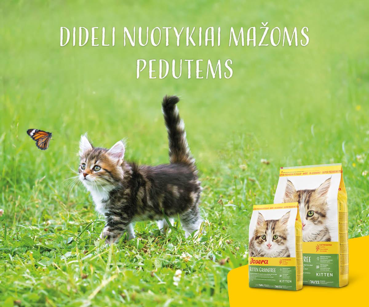 Josera Kitten GrainFree begrūdis sausas maistas kačiukams ir maitinančioms katėms 10kg