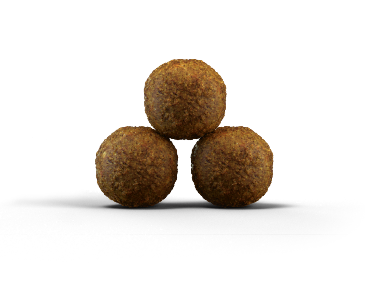 Josera Kitten GrainFree begrūdis sausas maistas kačiukams ir maitinančioms katėms 10kg