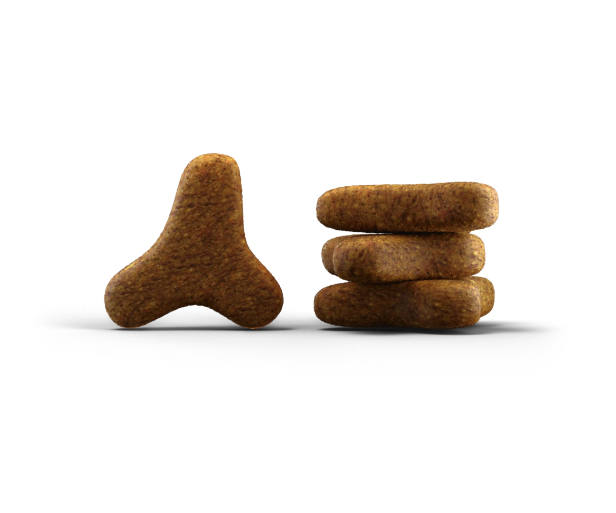 Josera Naturelle Sterilised begrūdis sausas maistas suaugusioms sterilizuotoms katėms 2kg Nauja Pakuotė!