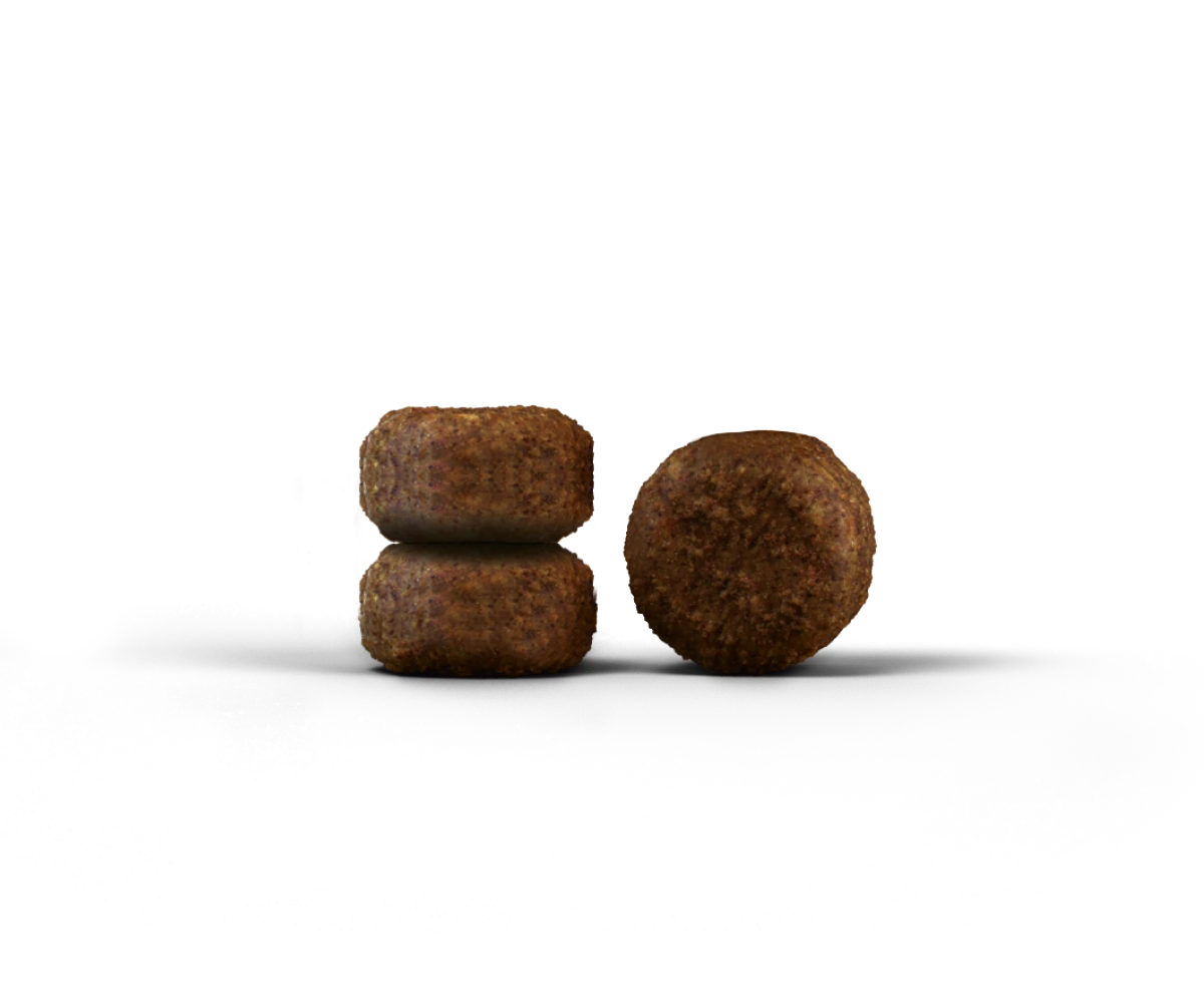 Josera Senior Carismo sausas maistas senyvoms katėms 10kg (Nauja pakuotė)