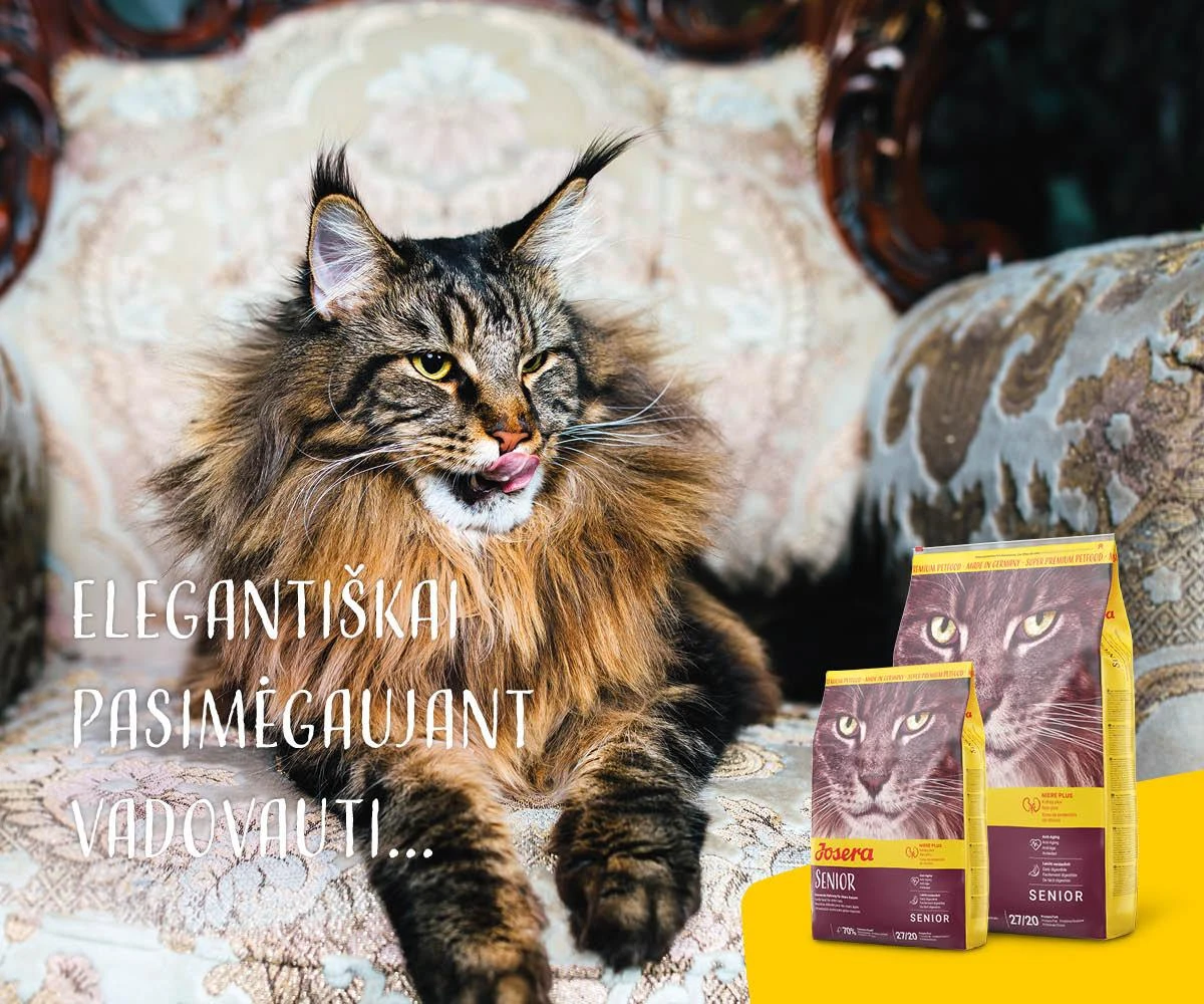 Josera Senior Carismo sausas maistas senyvoms katėms 10kg (Nauja pakuotė)