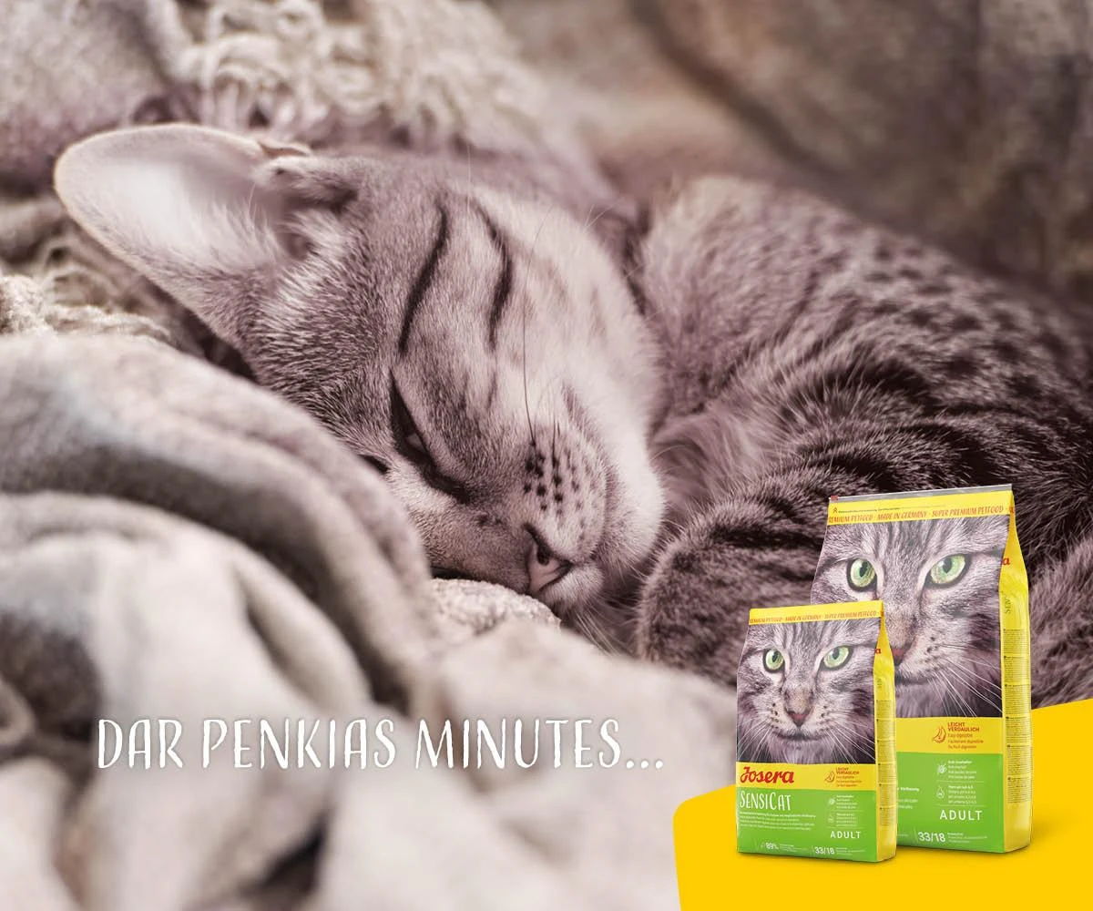 Josera SensiCat sausos maistas suaugusiems turinčioms jautrių skrandį katėms 2kg Nauja Pakuotė!