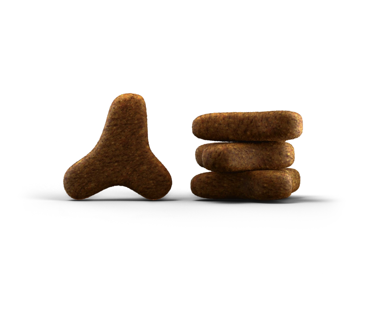 Josera SensiCat sausos maistas suaugusiems turinčioms jautrių skrandį katėms 2kg Nauja Pakuotė!