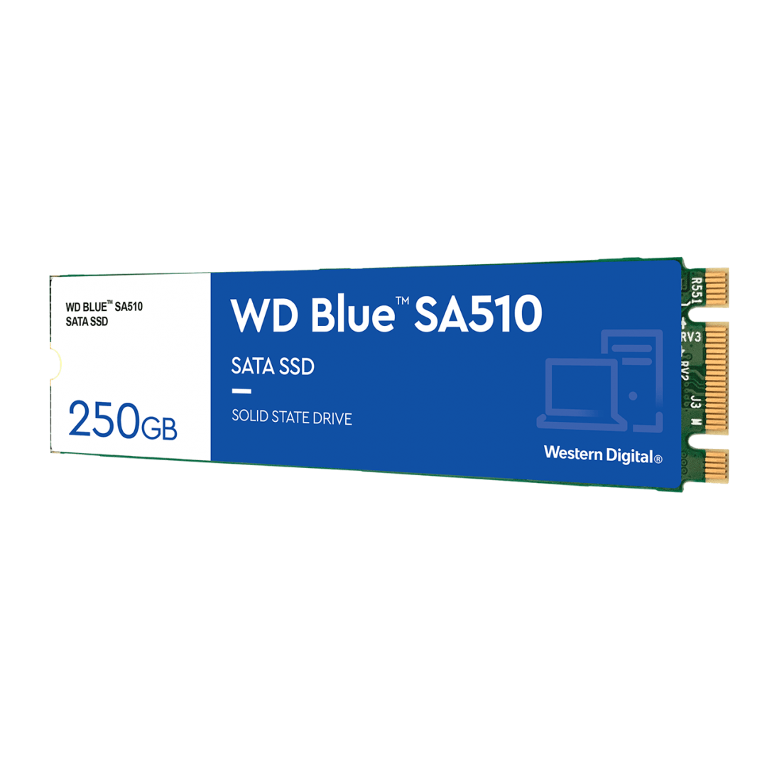 Sandisk WD Mėlyna SATA SSD M.2 250GB kietasis diskas
