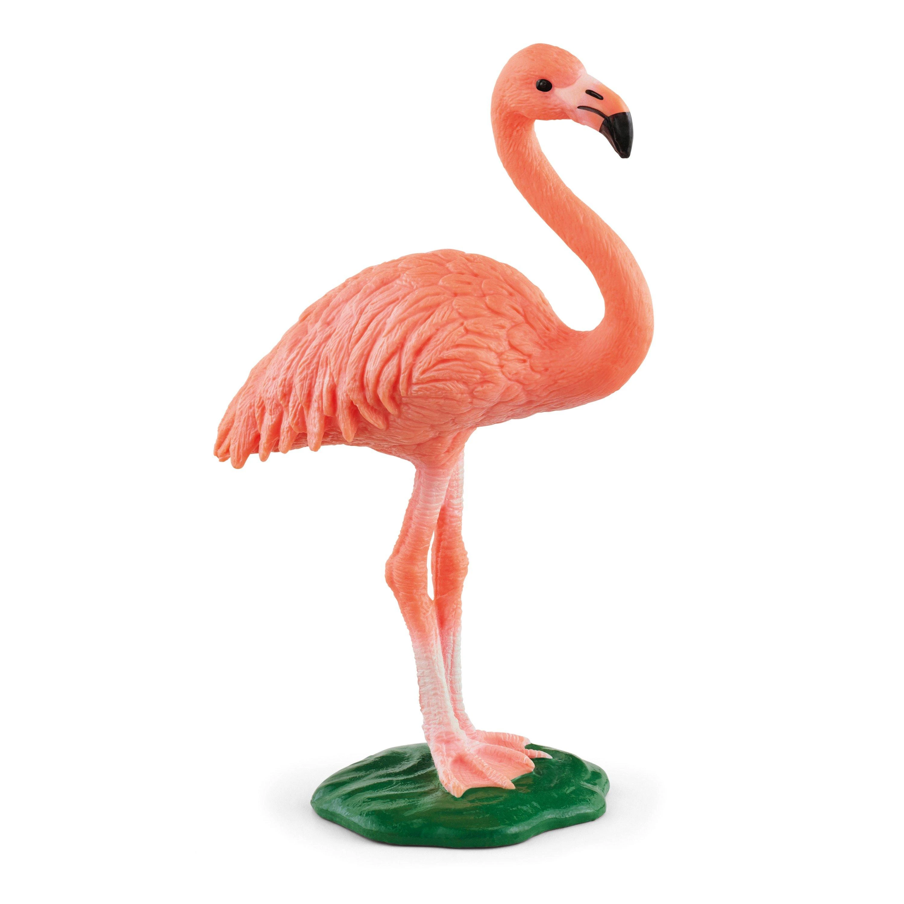 Schleich figūrėlė Flamingas