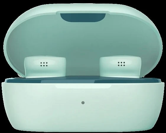 Bose QuietComfort ausinės 24