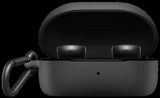 Bose QuietComfort® Earbuds II silikoninis dėklas