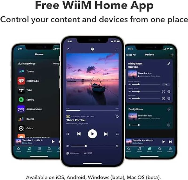 Muzikinis centras WiiM Pro - network grotuvas