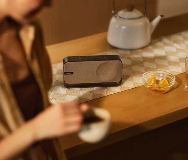 „Bose SoundLink Home Bluetooth®“ garsiakalbis