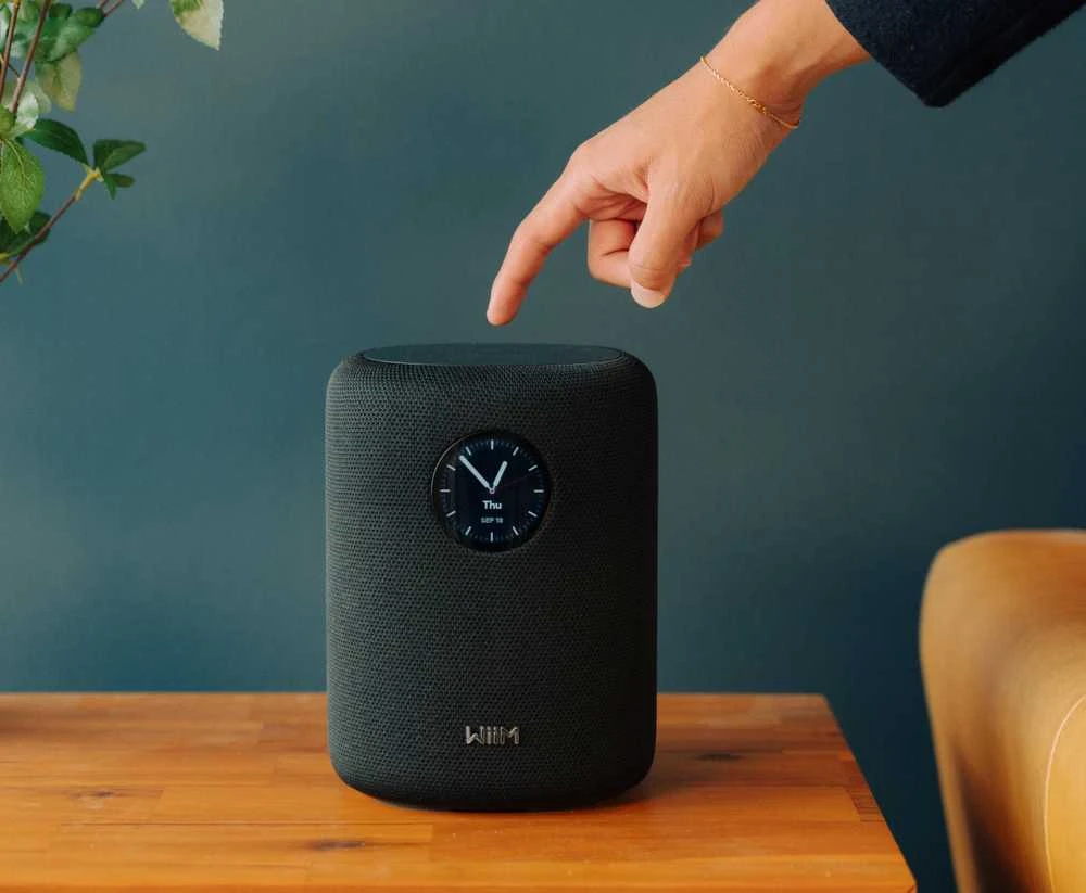 Bose WiiM Sound garso kolonėlė