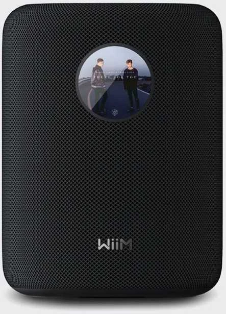 Bose WiiM Sound garso kolonėlė