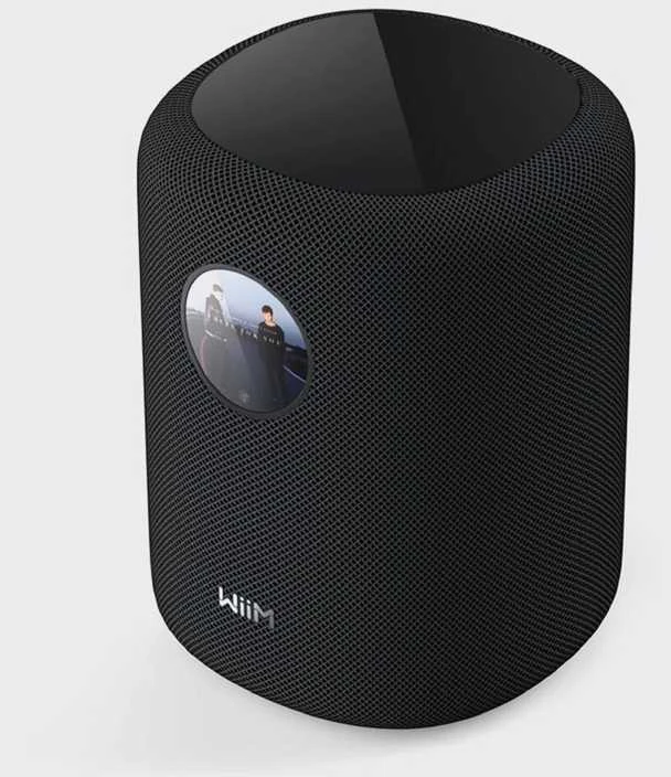 Bose WiiM Sound garso kolonėlė