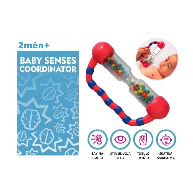 AM Tullo BRAIN BUILDERS barškutis „TARŠKUTIS“, BB108