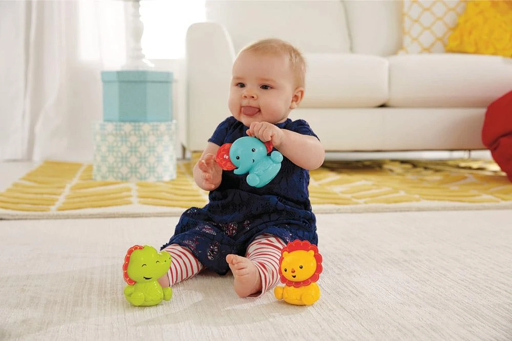 Fisher Price spalvoti gyvūnėliai su kūdikiu