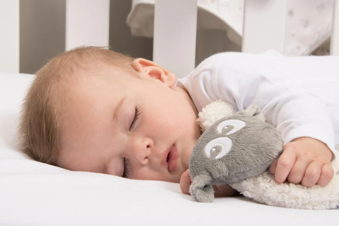 SWEET DREAMERS migdukas su laikikliu čiulptukui, pilkos spalvos aprašymas - Prekės nuotrauka