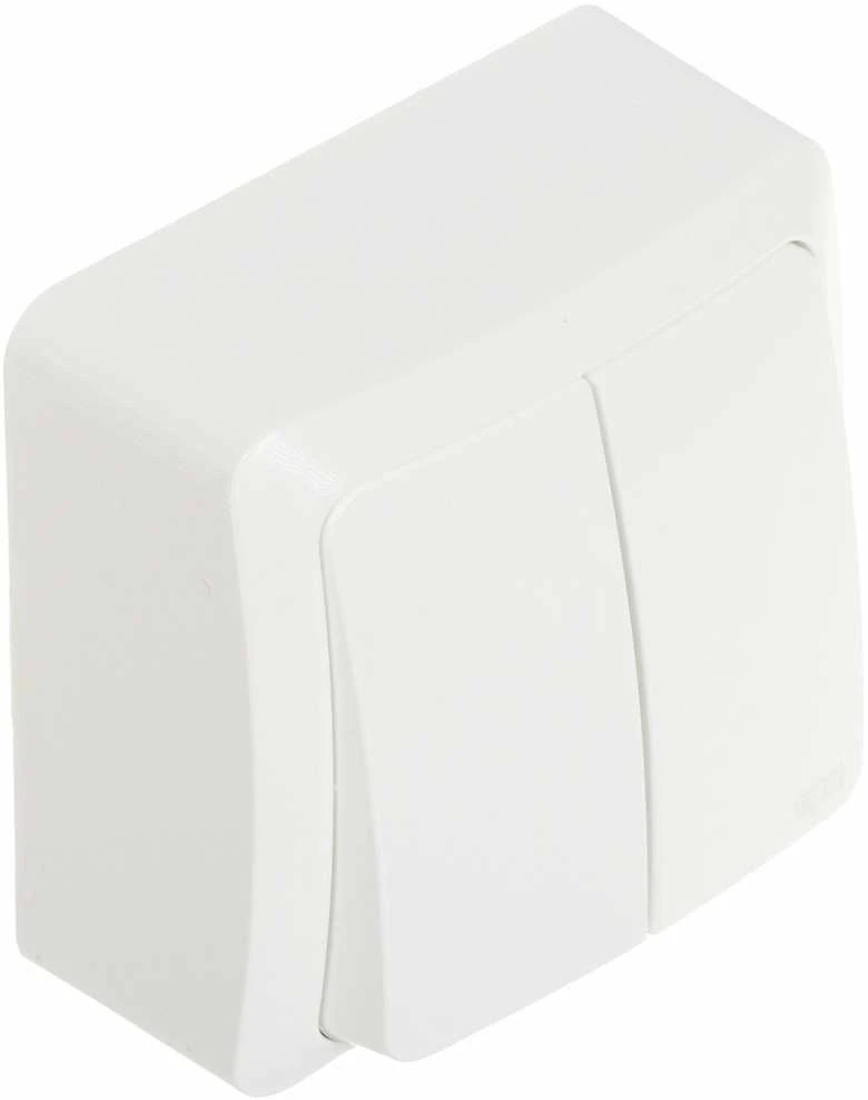 DVIGUBAS APŠVIESTAS JUNGIKLIS BERG/3711-00/EPN 250 V 10 A Elektro-Plast